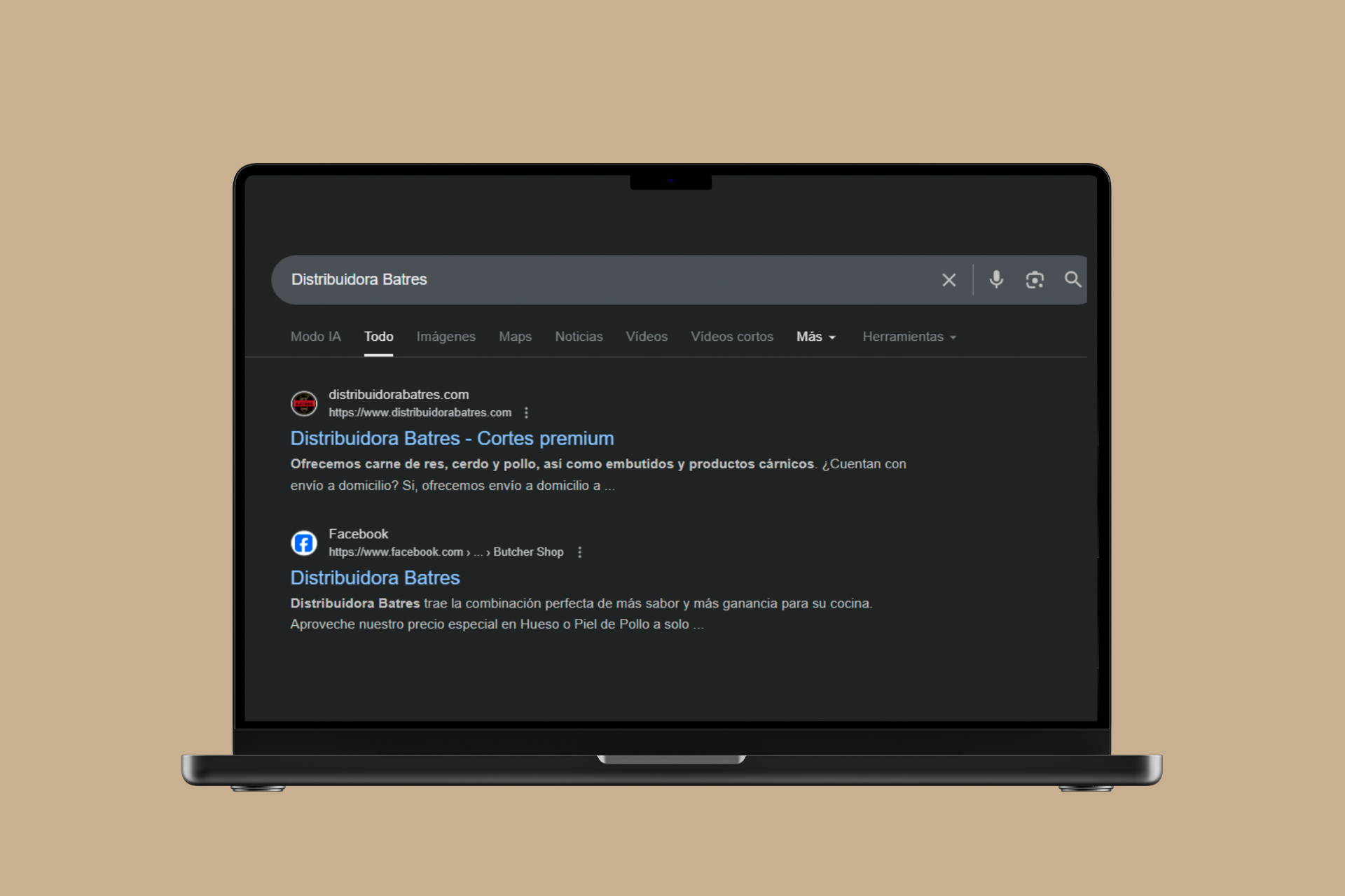 SEO Distribuidora Batres